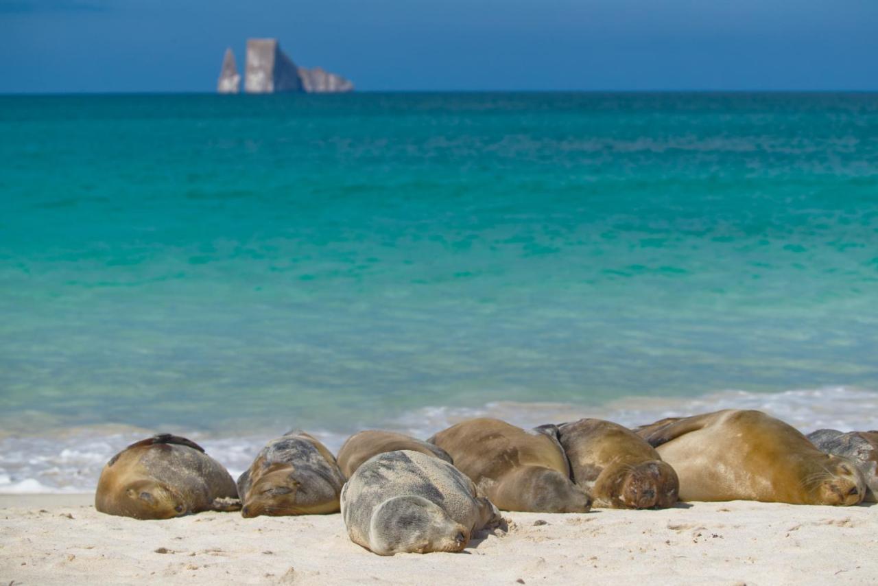 Suite Cielo, Discover The Magic Of Galapagos Puerto Baquerizo Moreno Buitenkant foto